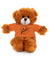 Stuffed Animals with Tee - GH Music Logo